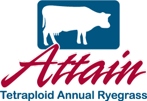 Attain Tetraploid Annual Ryegrass Logo