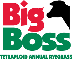 Big Boss Tetraploid Annual Ryegrass Logo